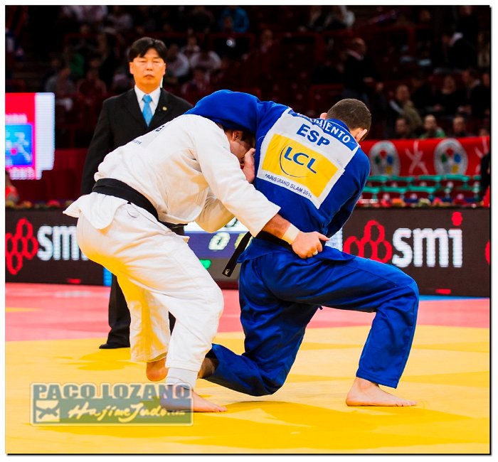 Paris 2014 by P.Lozano cat -81 kg_PLM2481